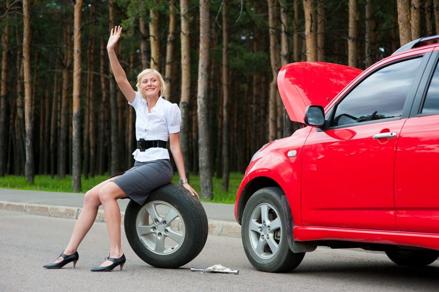 Программа «Lady's Assistant X-AUTO»
